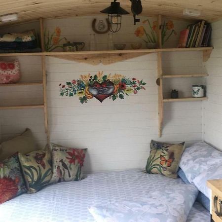 Clydesdale Shepherds hut Hotell Belfast Eksteriør bilde