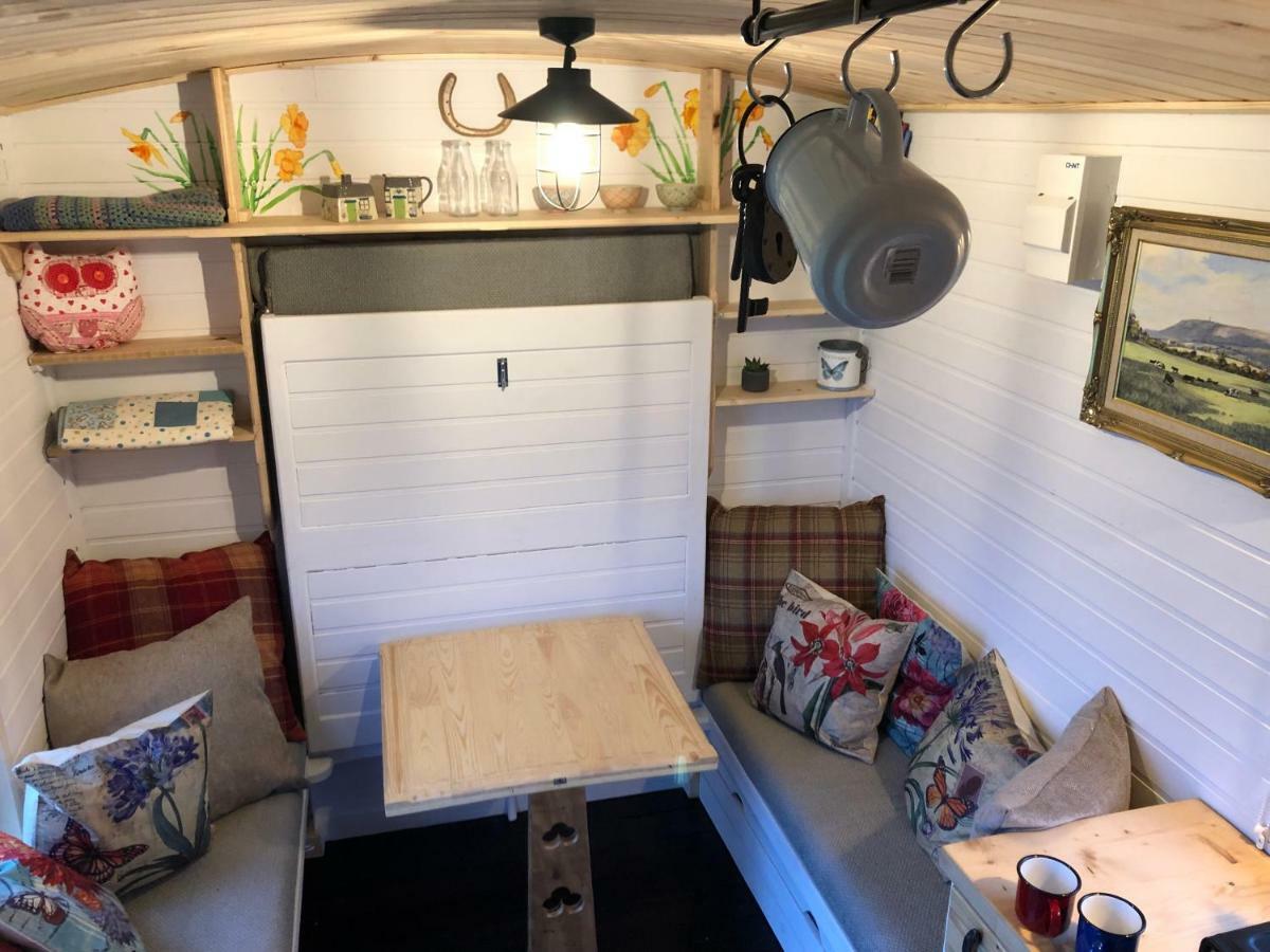 Clydesdale Shepherds hut Hotell Belfast Eksteriør bilde