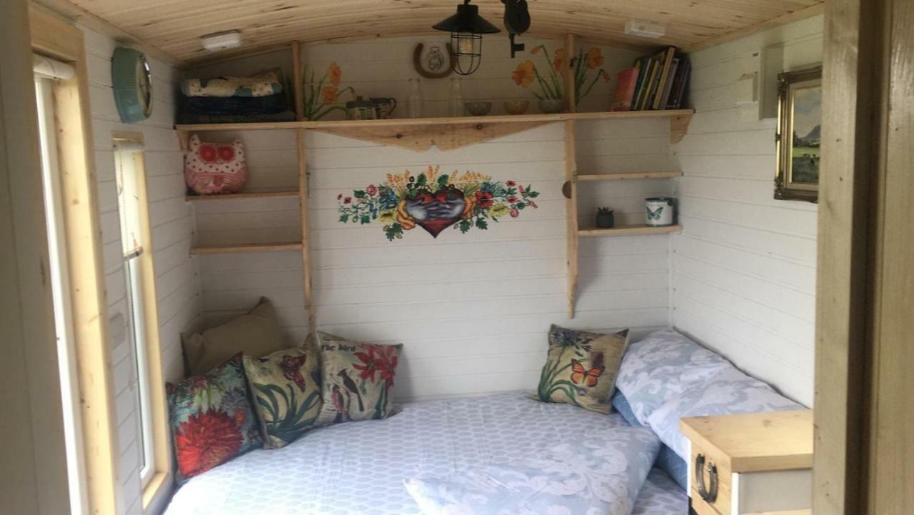 Clydesdale Shepherds hut Hotell Belfast Eksteriør bilde